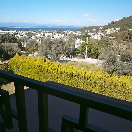 Peaceful Space In Torba *