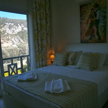 Peaceful Space In Torba Villa